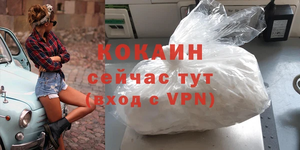 стаф Дмитровск