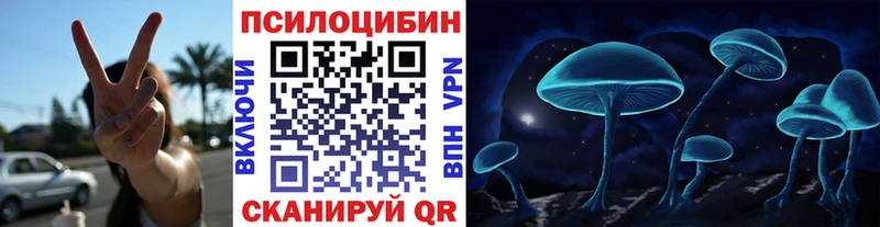 закладка  Ульяновск  Псилоцибиновые грибы Psilocybine cubensis 